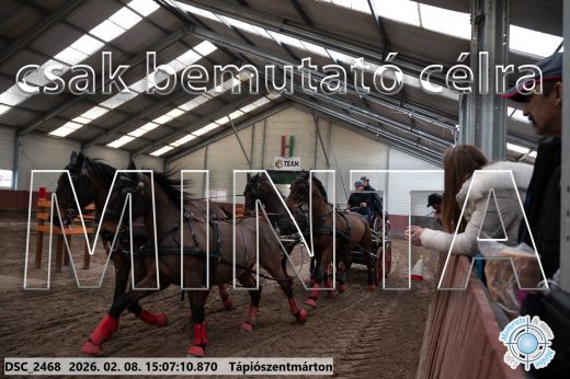 Mintakép 20260208-1027
