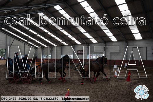 Mintakép 20260208-1029