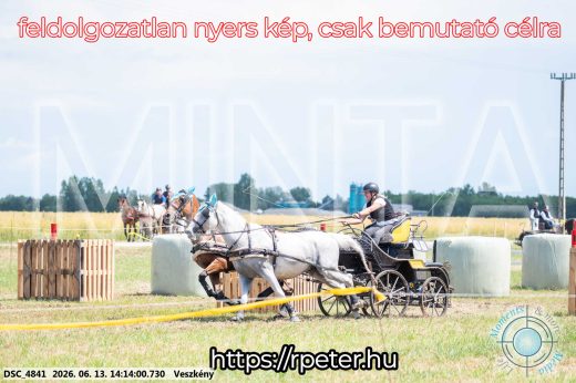 Mintakép 20260613-582