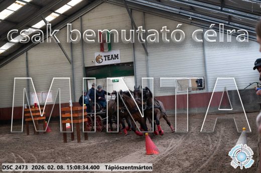 Mintakép 20260208-1030