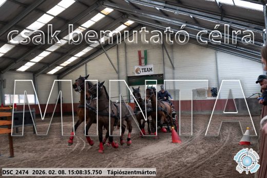 Mintakép 20260208-1031