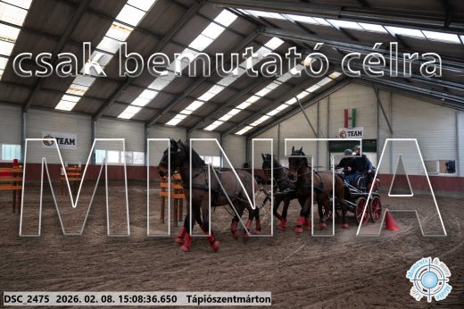Mintakép 20260208-1032