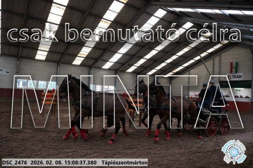 Mintakép 20260208-1033
