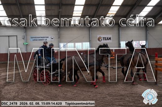Mintakép 20260208-1035