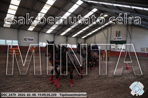 Mintakép 20260208-1036