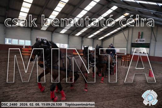 Mintakép 20260208-1037