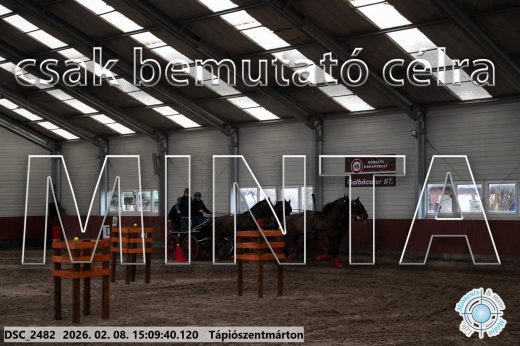 Mintakép 20260208-1038