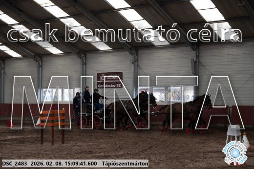 Mintakép 20260208-1039