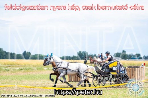 Mintakép 20260613-583