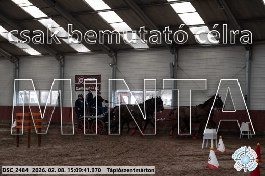 Mintakép 20260208-1040