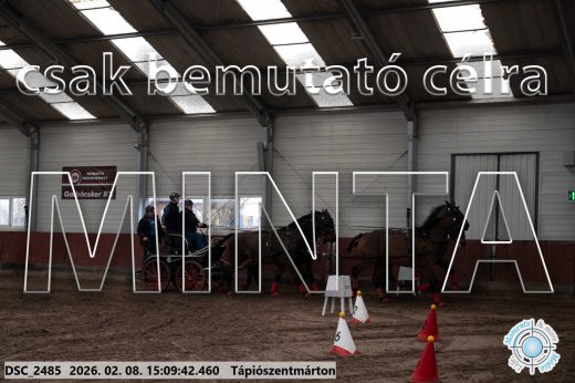 Mintakép 20260208-1041