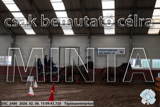 Mintakép 20260208-1042