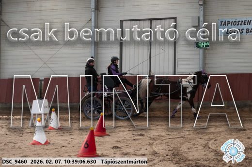Mintakép 20260207-648