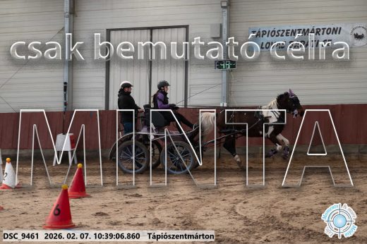 Mintakép 20260207-649