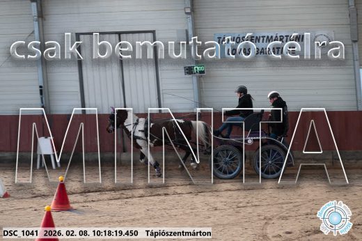 Mintakép 20260208-1046