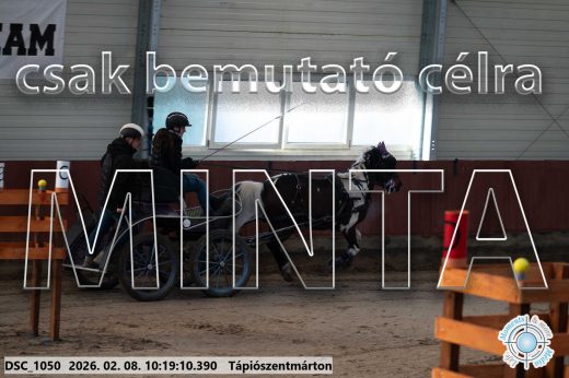 Mintakép 20260208-1052