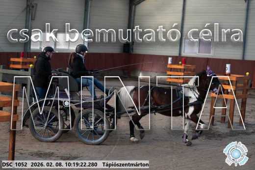 Mintakép 20260208-1054