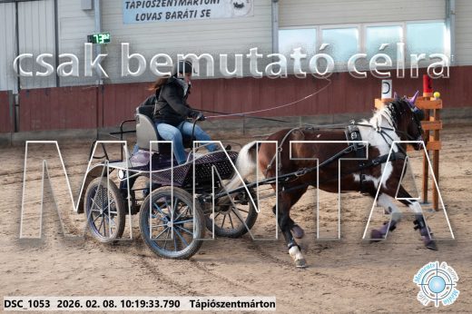 Mintakép 20260208-1055