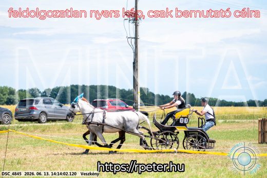 Mintakép 20260613-586
