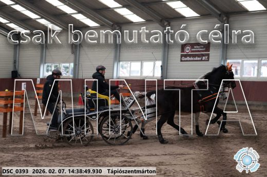 Mintakép 20260207-658