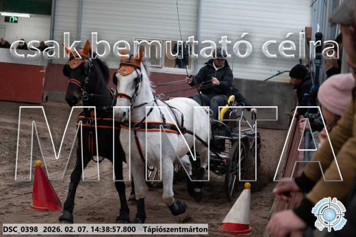 Mintakép 20260207-663