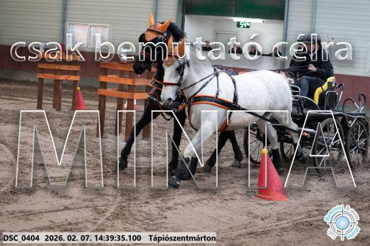 Mintakép 20260207-669