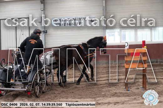 Mintakép 20260207-671