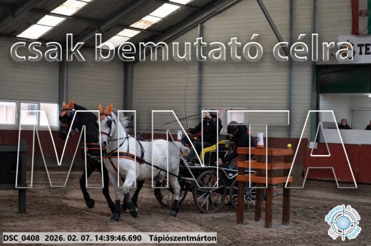 Mintakép 20260207-673