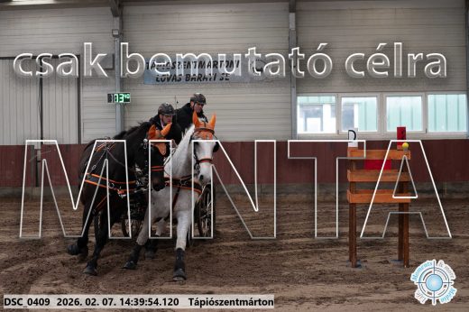 Mintakép 20260207-674