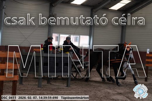 Mintakép 20260207-676