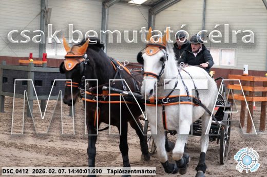 Mintakép 20260207-677