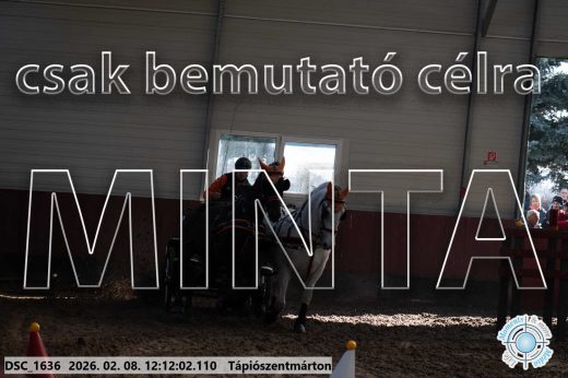 Mintakép 20260208-1065