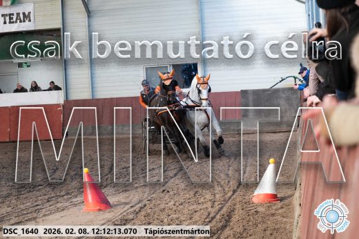 Mintakép 20260208-1069