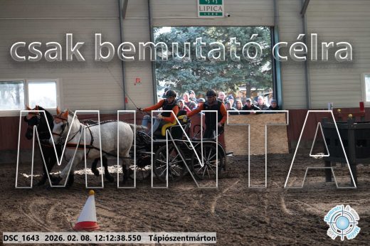 Mintakép 20260208-1072