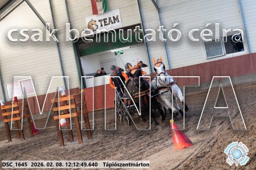 Mintakép 20260208-1074