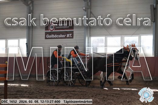 Mintakép 20260208-1080