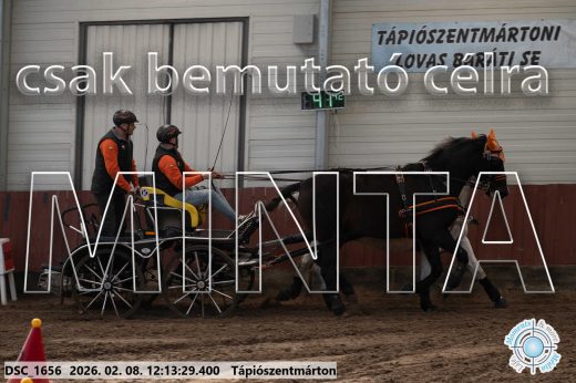 Mintakép 20260208-1083