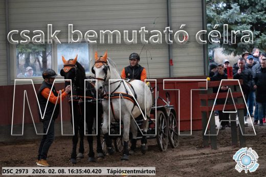 Mintakép 20260208-1084