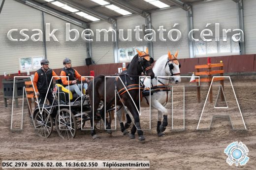 Mintakép 20260208-1087