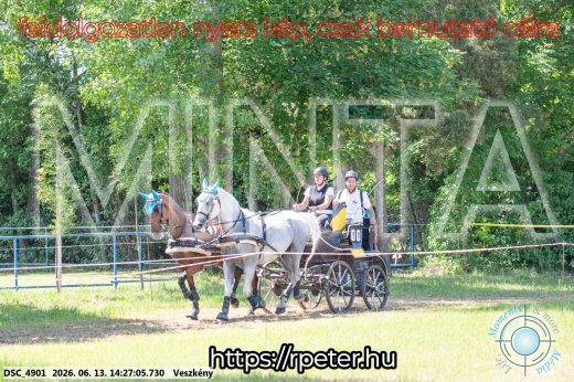 Mintakép 20260613-592