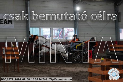 Mintakép 20260208-1088