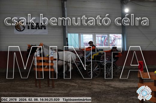 Mintakép 20260208-1089