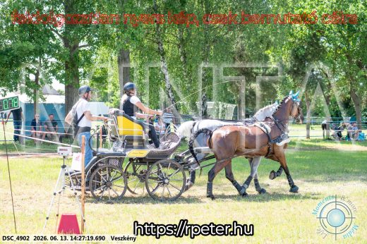 Mintakép 20260613-593