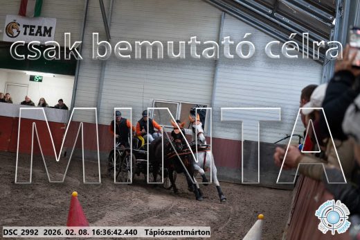 Mintakép 20260208-1103