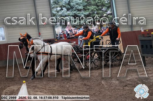 Mintakép 20260208-1110