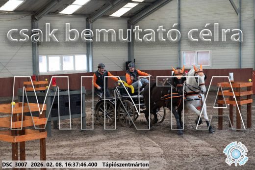 Mintakép 20260208-1116