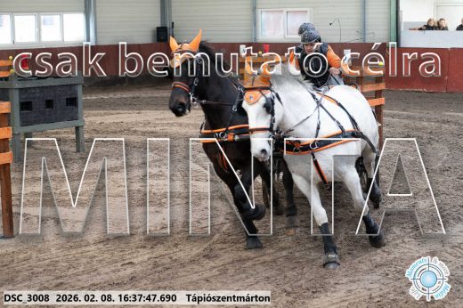 Mintakép 20260208-1117