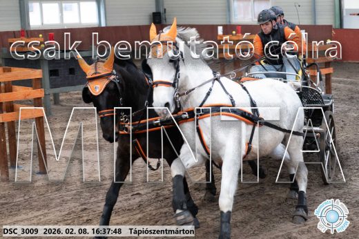 Mintakép 20260208-1118