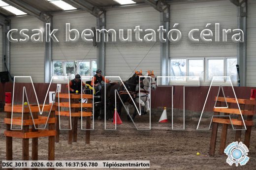 Mintakép 20260208-1119