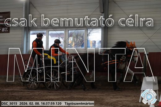 Mintakép 20260208-1122
